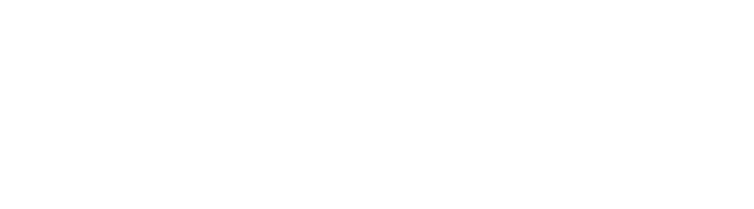 Ls logo