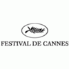 News cannes quadrato